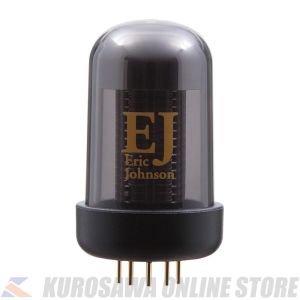 ローランド Eric Johnson ブルースキューブ トーンカプセル Roland BC TC-EJ Eric Johnson Blues Cube Tone Capsule ブルース