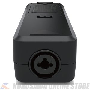 GO SOLO -オーディオインターフェース- (ご予約受付中) | 【クロサワ