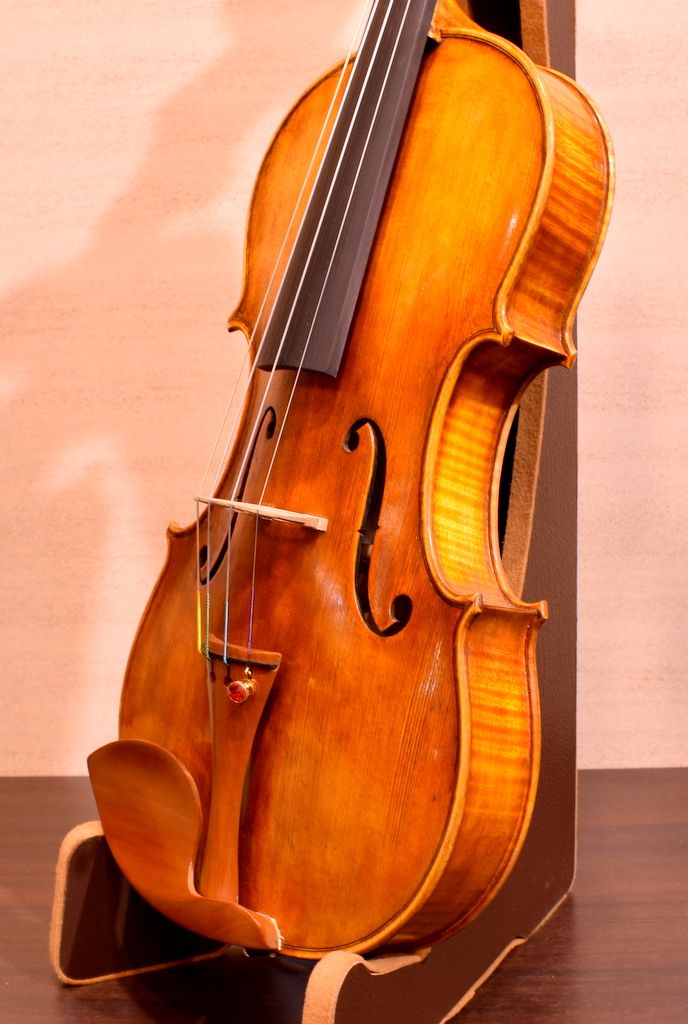 その他 Professional (Guarneri IL Cannone) | 【クロサワ楽器店