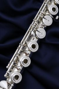 F-MS925/RE IL | 【クロサワ楽器店オンラインショップ】いい楽器との