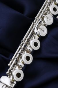 DS RCE str. | 【クロサワ楽器店オンラインショップ】いい楽器とのいい