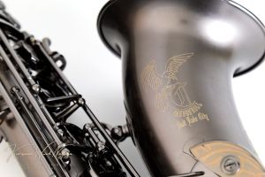 T5-BiceB Raven “Big Bell Stone Series” | 【クロサワ楽器店 