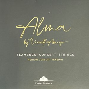 Solera Flamenca ソレラ・フラメンカ "Alma" by Vicente Amigo Flamenco Concert Strings