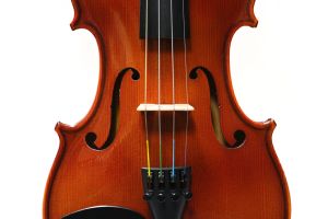 Reghin バイオリン　1/2 楽天市場】ルーマニア製 バイオリン HORA社 Reghin 10点セット