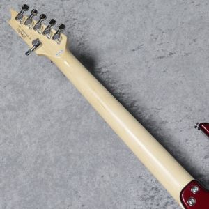 KG-FASCIST VICE SE[Delicious red] | 【クロサワ楽器店オンライン