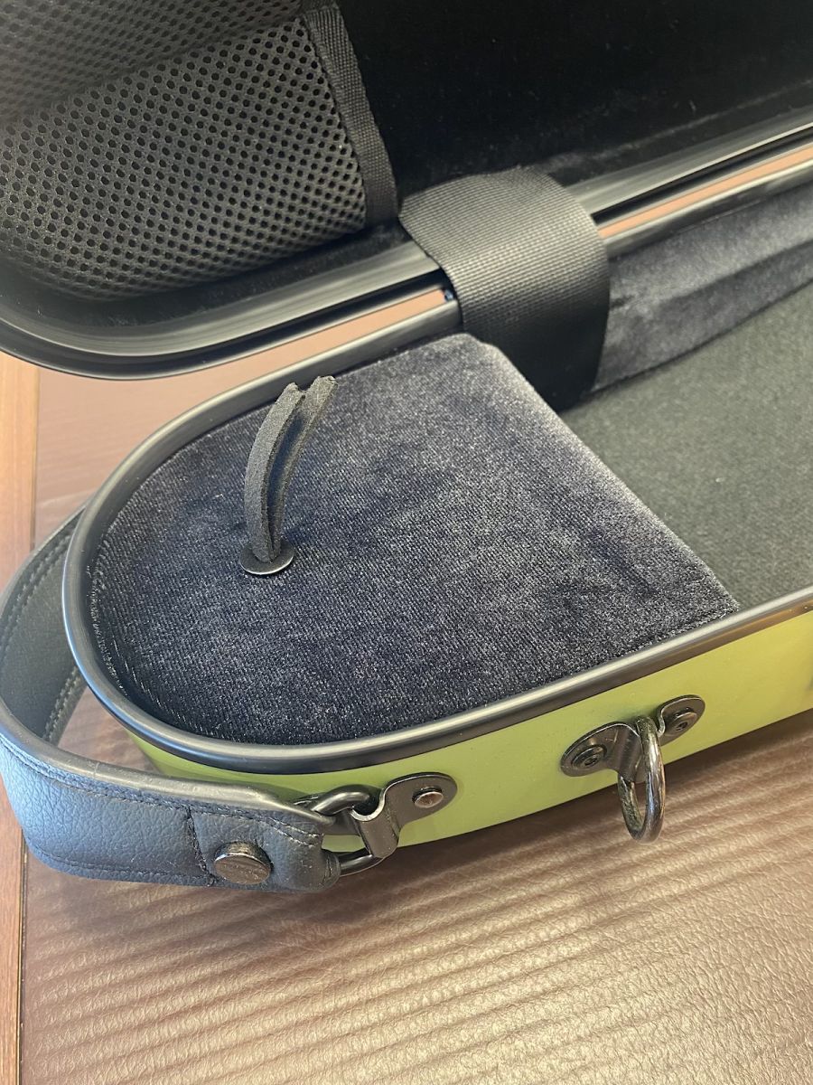 doTERRA フランキンセンス 森の音タッチ　ウィンターグリーン　サプリケース CFV-2S（ピスタチオグリーン） | 【クロサワ楽器店オンラインショップ