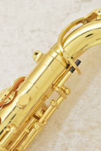 A-WO1 | 【クロサワ楽器店オンラインショップ】いい楽器とのいい出会い 