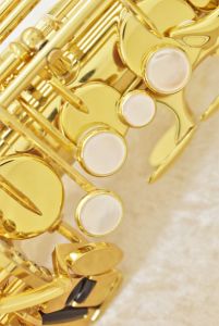 A-WO1 | 【クロサワ楽器店オンラインショップ】いい楽器とのいい出会い 