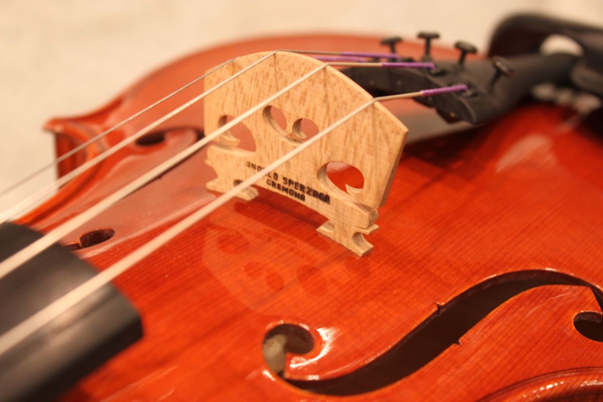 Angelo SPERZAGA 40.5cm Va 2022 Cremona | 【クロサワ楽器店