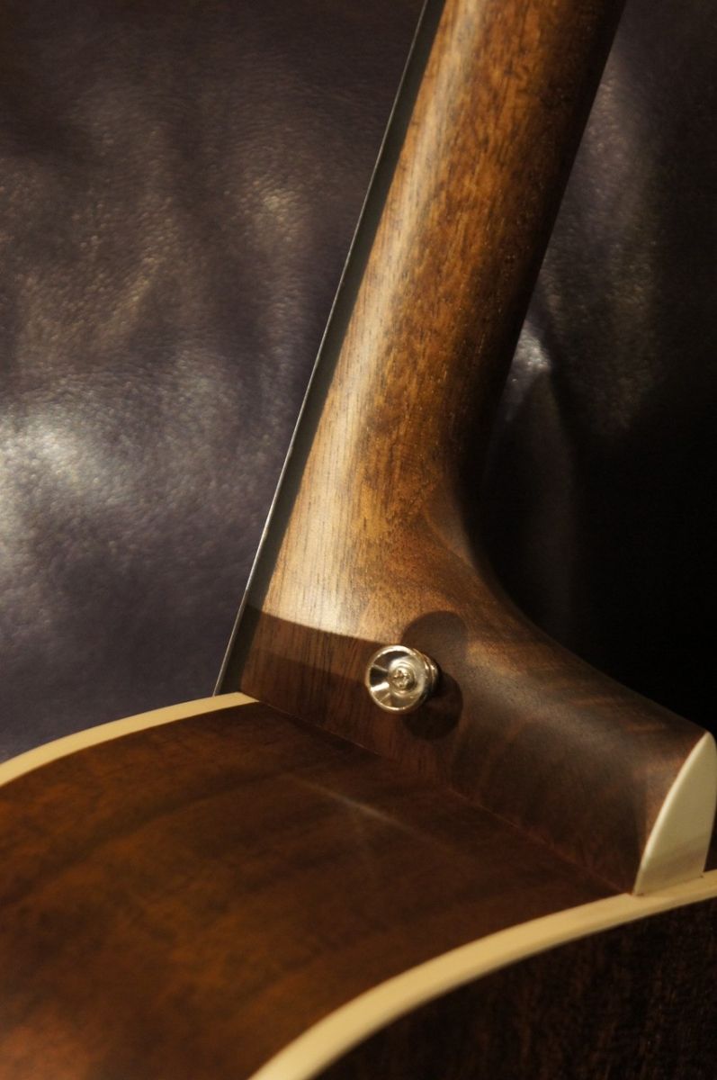 ❤️弦高調整済！「Stafford SF-3F/BK エレアコ！！」＋専用ケース Stafford SF-3F | クロサワ楽器店