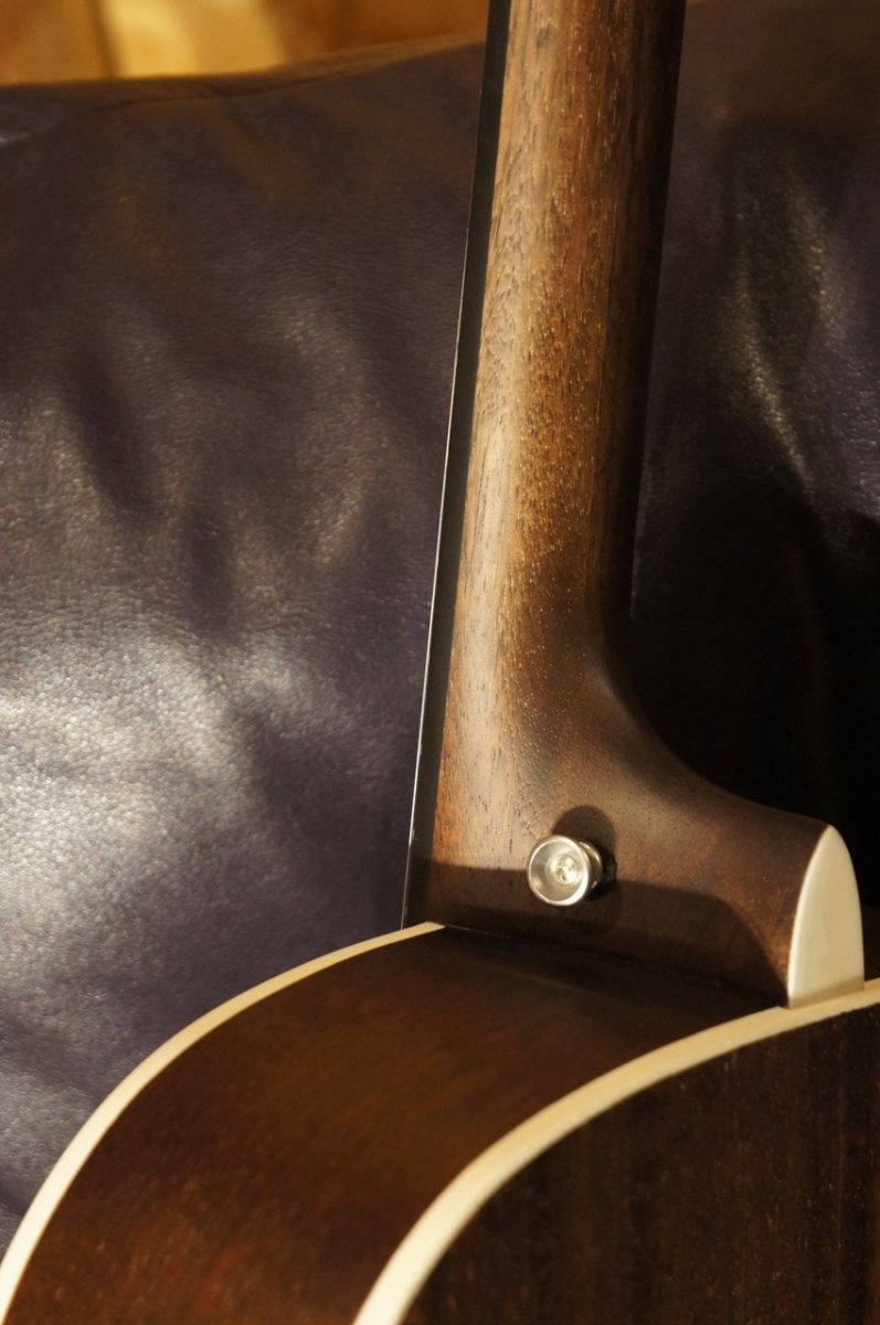 SF-3F/CS【チューナー&ピック&教則本プレゼント!】#0291 | 【クロサワ