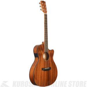 SOLID MAHOGANY THINLINE GUITAR / KA-GTR-MTS-E | 【クロサワ楽器店