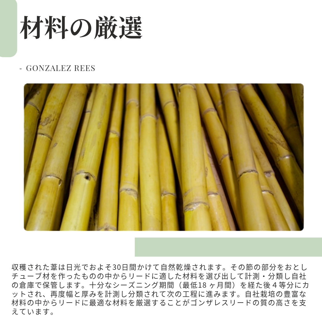 T.SAX REED Jazz Local 627 (ジャズ) | 【クロサワ楽器店オンライン