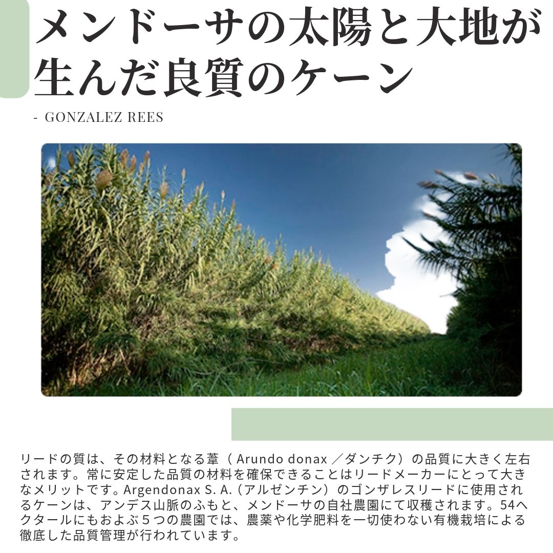 【RITAO CHAN公式アカウント04】出品　サックスネック3本セット NAVE】Six Sence Record×NAVE | ONWARD CROSSET | ファッション