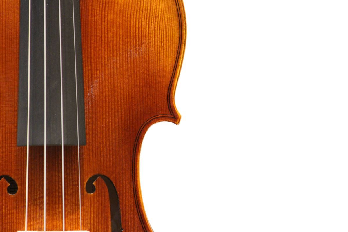 Roderich Paesold PA803J | 【クロサワ楽器店オンラインショップ】いい