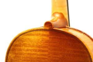 弦楽器 Roderich Paesold PA803J クロサワバイオリン | 弦楽器の総合ショップ