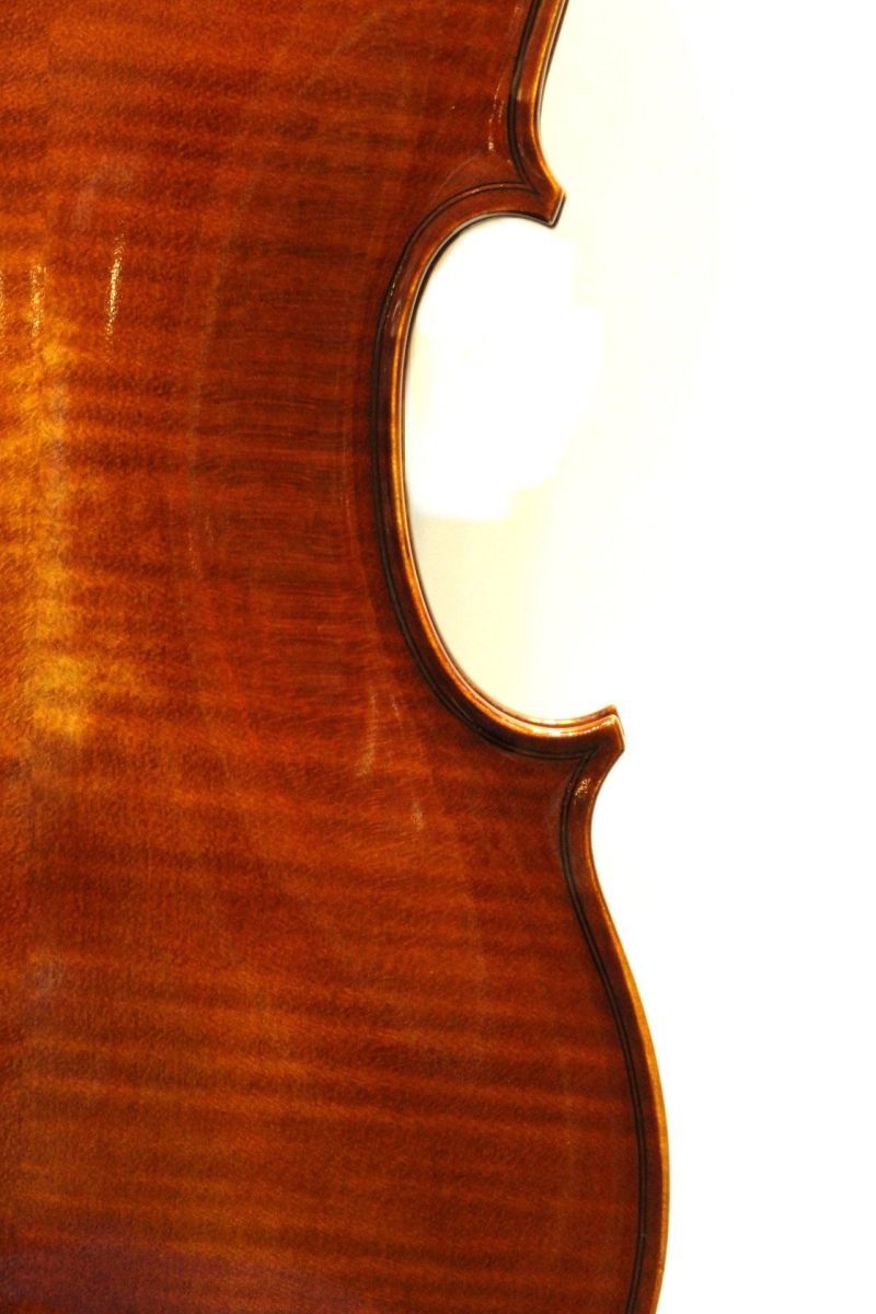 Roderich Paesold PA703J 40.5cm | 【クロサワ楽器店オンライン