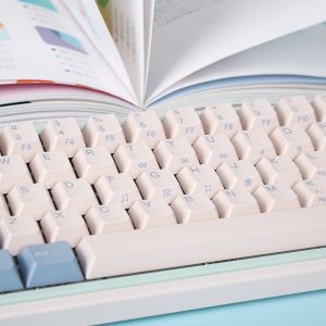 Varmilo 67 Minilo Eucalyptus 銀軸 Varmilo(アミロ) Minilo ミニロ Eucalyptus 67キー 英語配列