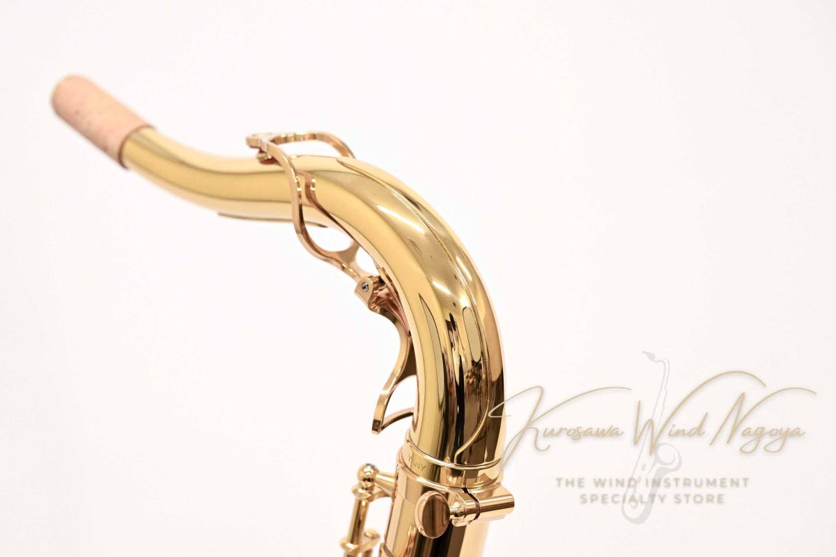 管楽器・吹奏楽器 Yanagisawa T-WO10 ヤナギサワ テナーサックス T-WO10 | 管楽器【新品】 | WINDS