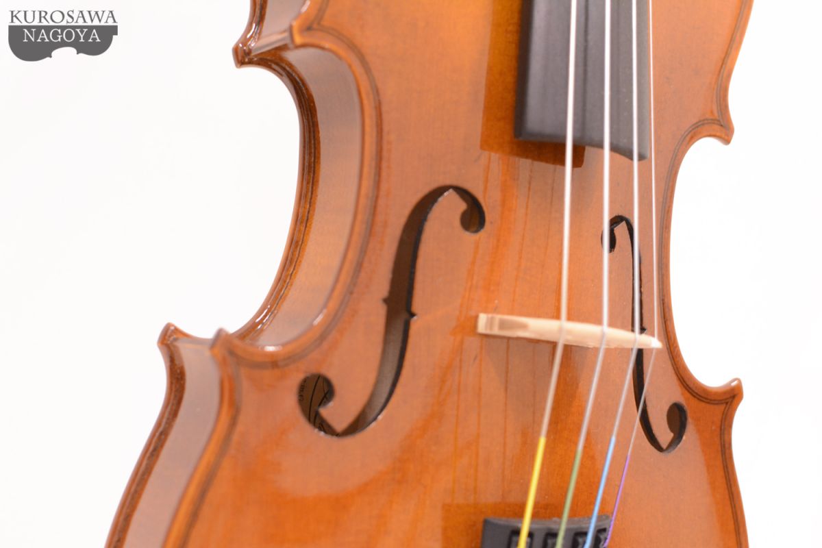 バイオリン R.Paesold PA-801J.VN セット