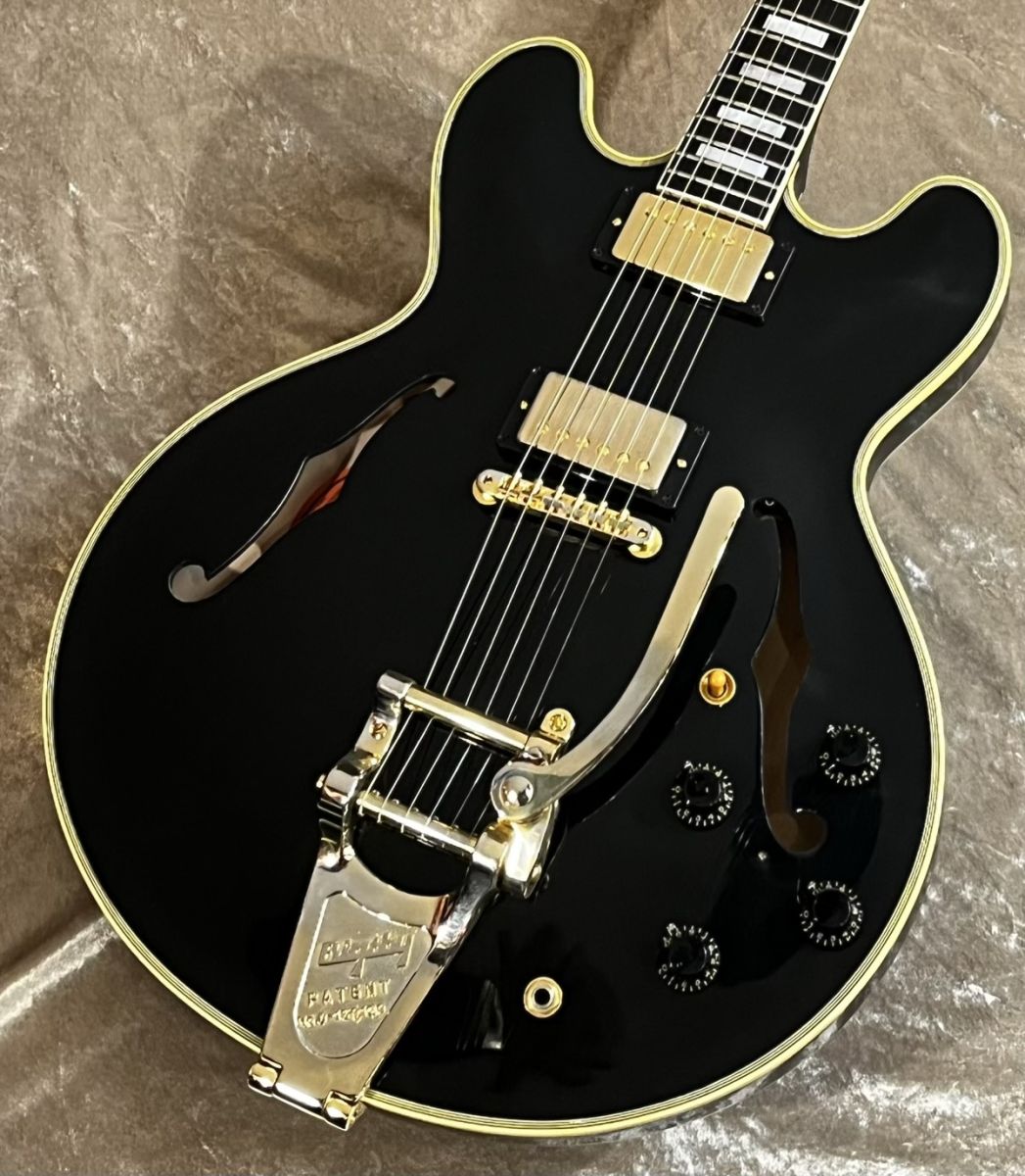 tech2rech様専用 VG KTR-ES STD 寺田楽器 セミアコ