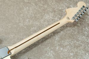 【エレキギター】ストラトキャスター 【スキャロップ指板】 Fender（フェンダー）American Professional IIシリーズから