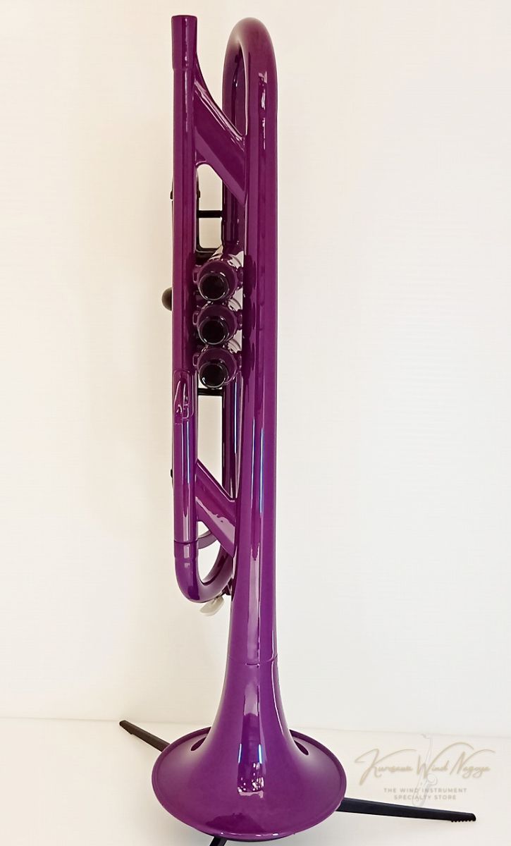 楽器洗浄済み　トランペット pTrumpet ピートランペット プラスチック製トランペット〔pBone