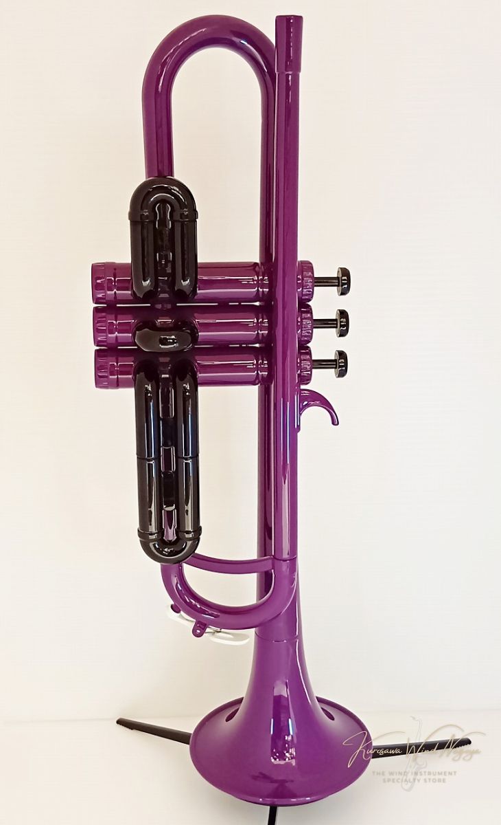 TR-200PPL | 【クロサワ楽器店オンラインショップ】いい楽器との