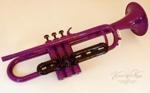 TR-200PPL | 【クロサワ楽器店オンラインショップ】いい楽器との