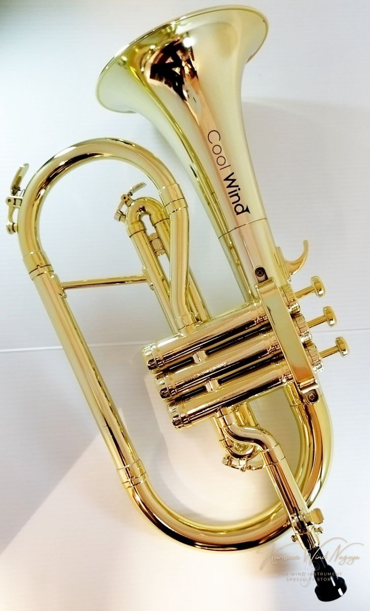 FH-200GLD | 【クロサワ楽器店オンラインショップ】いい楽器とのいい