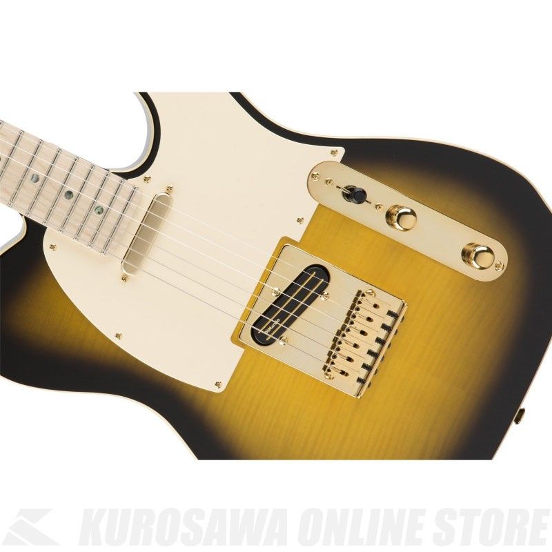 Richie Kotzen Telecaster, Maple Fingerboard, Brown Sunburst