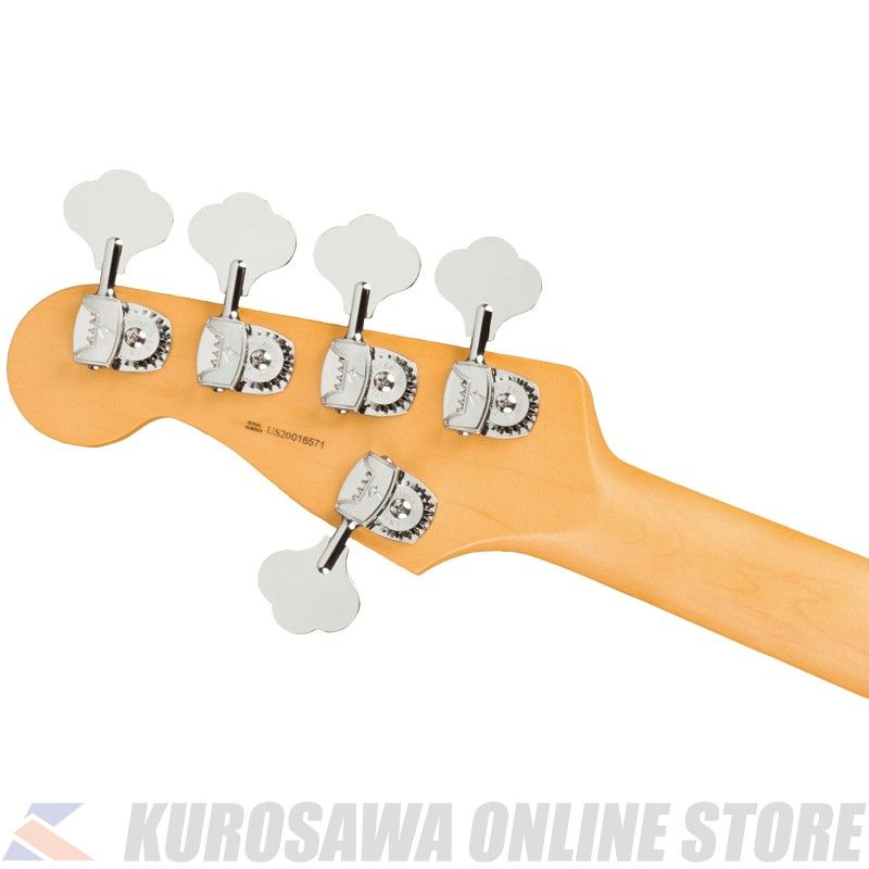Fender American Professional II フルメンテ済 dcf90b32-5e4f-4ccf-9a35-