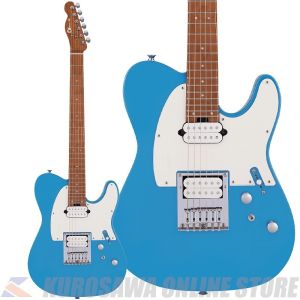 テレキャス タイプ、オンラインストアの商品検索結果一覧 | 【クロサワ