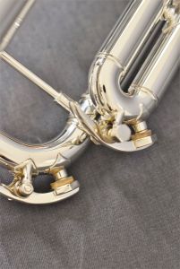 Vincent SP【新品】 | 【クロサワ楽器店オンラインショップ