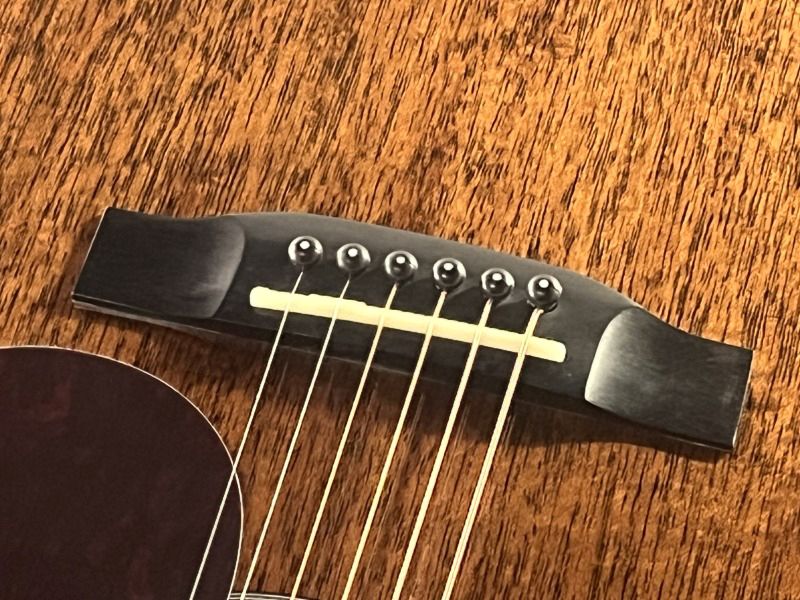 SF-5C All Mahogany #SC22100697 | 【クロサワ楽器店オンライン 