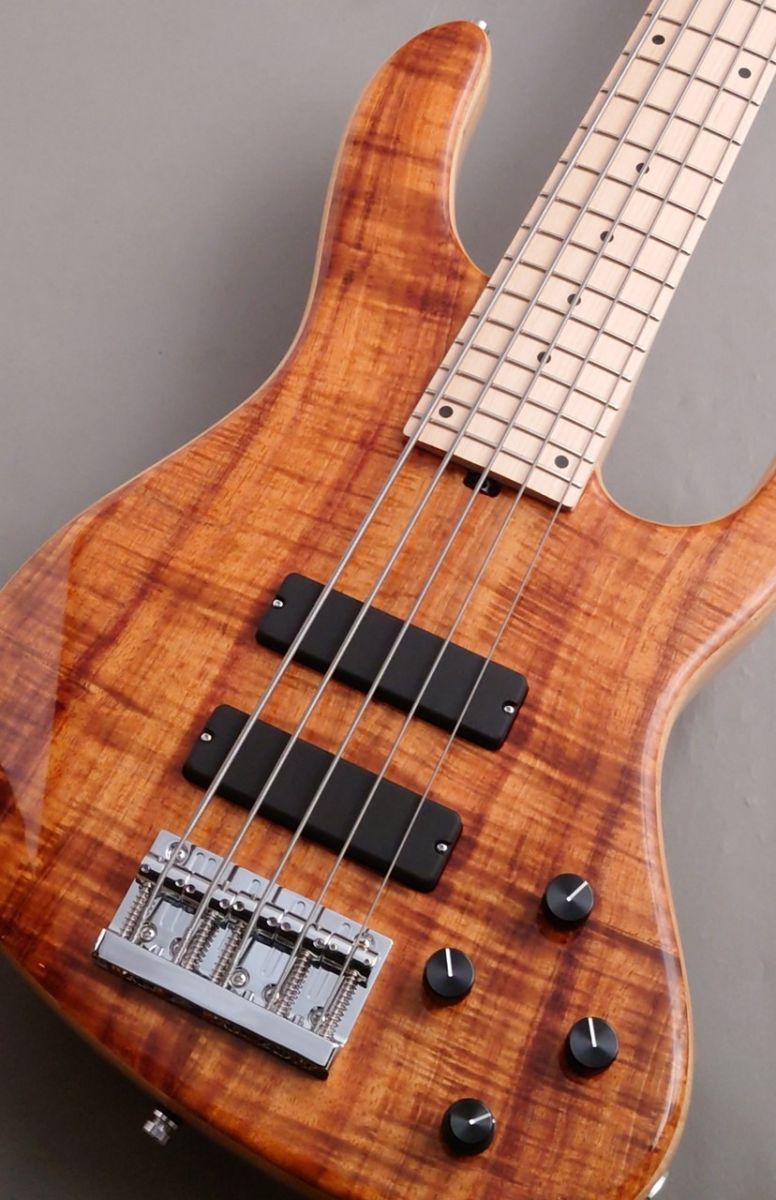 CS24 MS5 -5A Flame Koa Top- | 【クロサワ楽器店オンラインショップ