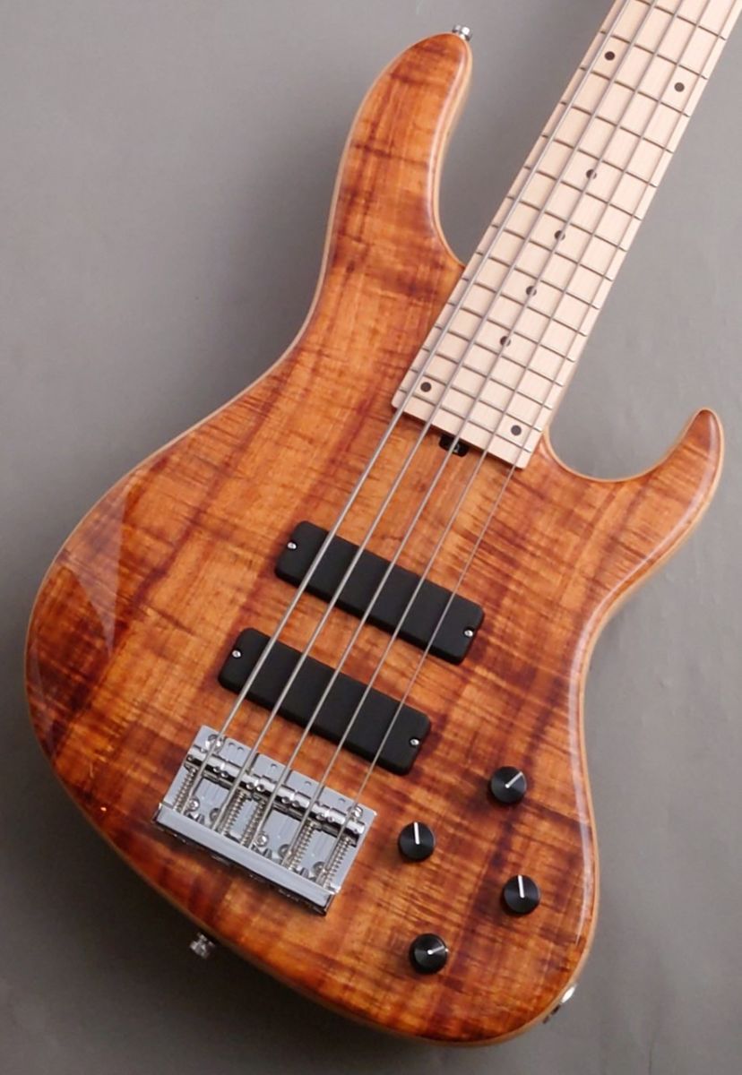 CS24 MS5 -5A Flame Koa Top- | 【クロサワ楽器店オンラインショップ