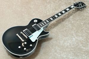 EDWARDS E-LP-CTM 【訳アリ】