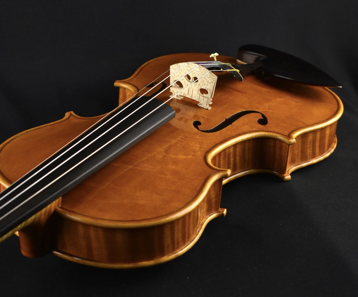 シュヴァルグラン ヴィブロス ヴィルシーナ コロッタ CoLotta セット カルロジョルダーノ EV-202 レッド シレンツィア エレキ