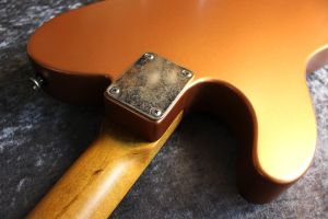 Classic Style-T Alder/Rosewood FB Pumpkin Gem/Custom PG