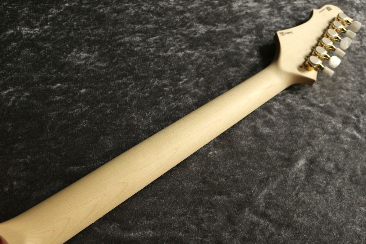 Custom Order HYDRA 24F Mahogany Body Premium Grade Quilt Maple Top