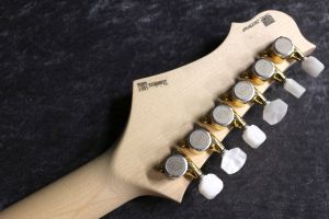 小*平様 エレキギター ブラック 24フレット ハムバッカー PE-350PF Aged Black エレキギター ハムバッカー3ピックアップ
