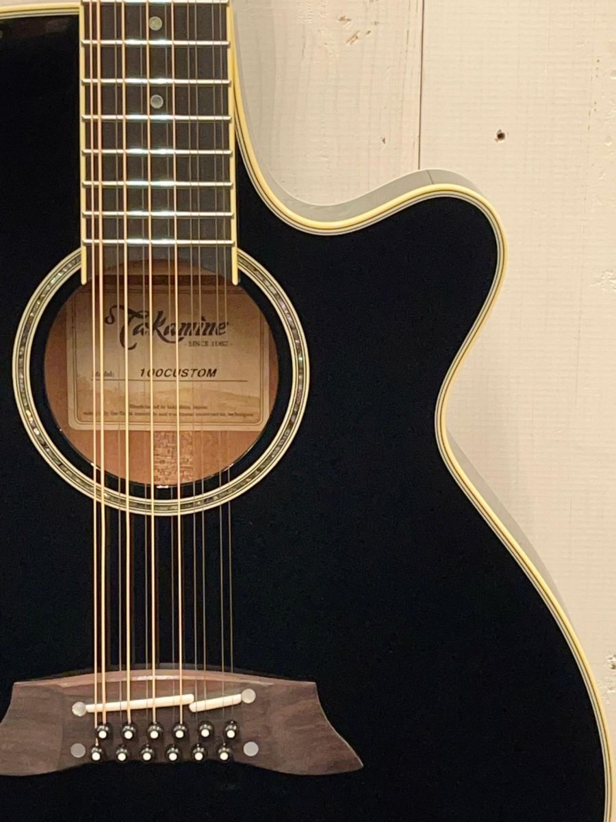 CTM TSP138C-12strings ~Deep Dark Blue~ | 【クロサワ楽器店