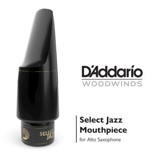 マウスピース、D'Addario Woodwinds/RICOの管楽器検索結果一覧