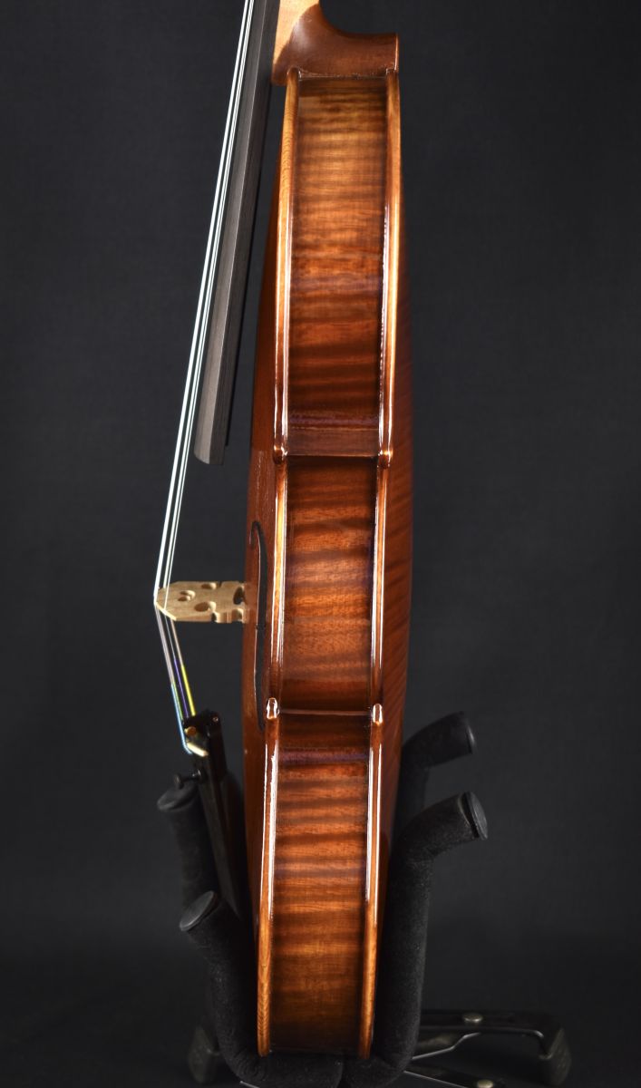 弦楽器 Roderich Paesold PA803J Roderich Paesold PA803J | 【クロサワ楽器店オンラインショップ
