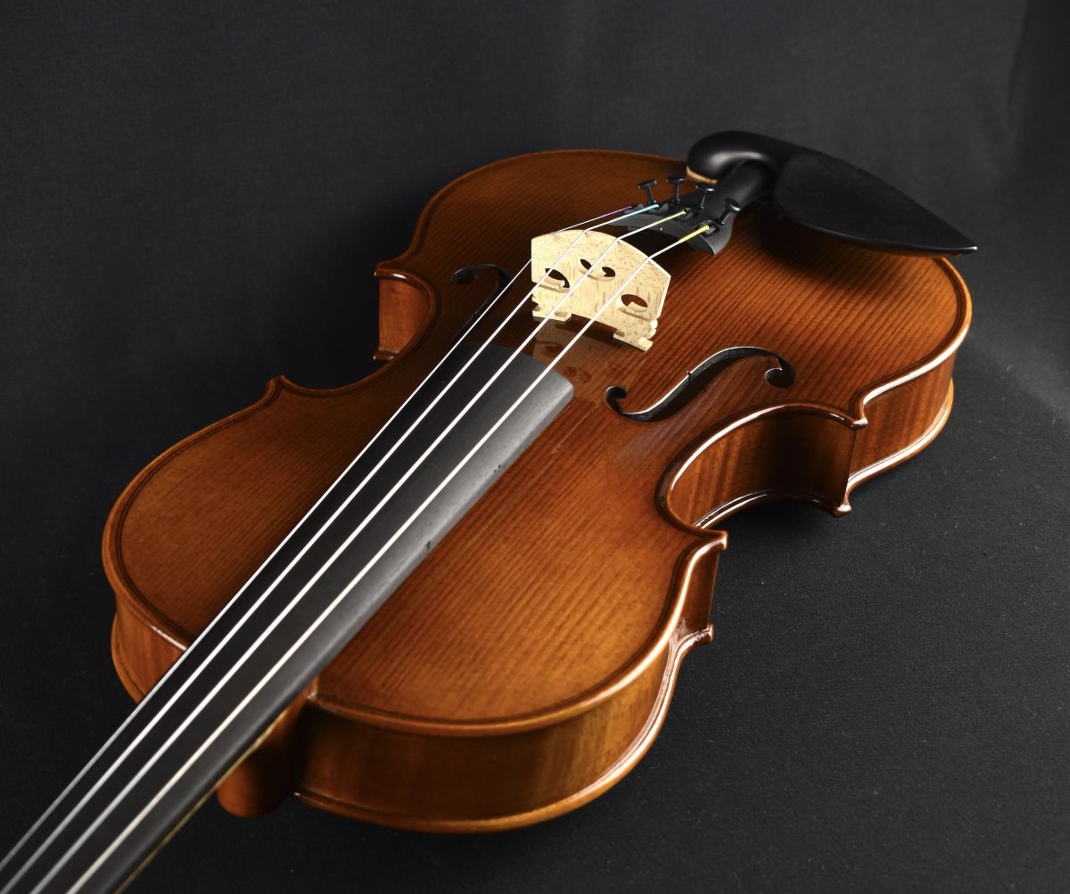 【定価17万6千円】Roderich Paesold　PA801J　バイオリン Roderich Paesold PA801J | 【クロサワ楽器店オンラインショップ