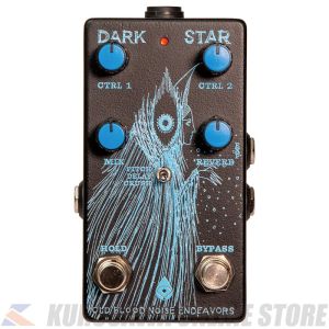 Old Blood Noise Endeavors DARK STAR  Pad Reverb (ご予約受付中)