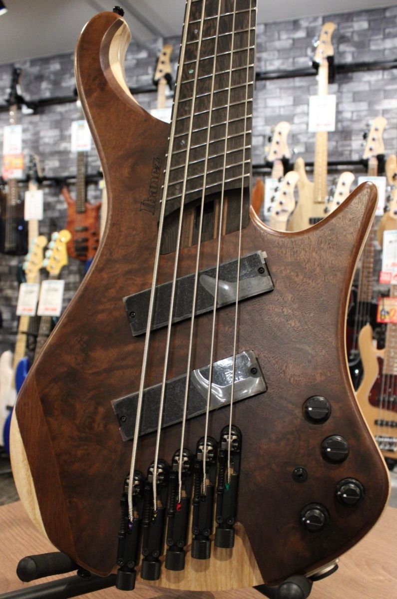 EHB1265MS -NML/Natural Mocha Low Gloss | 【クロサワ楽器店