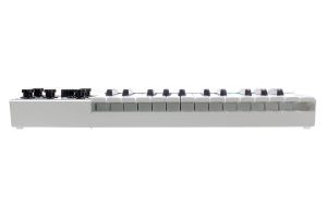 Mellotron Micro | 【クロサワ楽器店オンラインショップ】いい