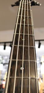 BTB805MS -TGF/Transparent Gray Flat- | 【クロサワ楽器店